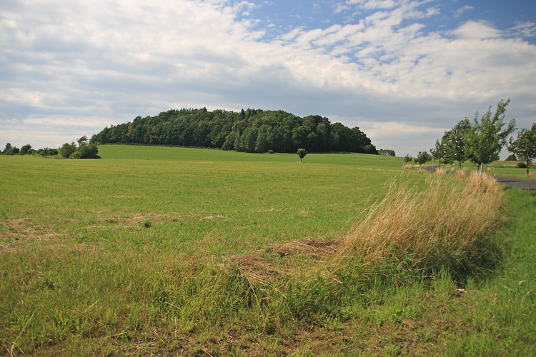 Panorama-Standort: Steinberg